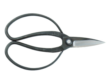 Japanese Scissors