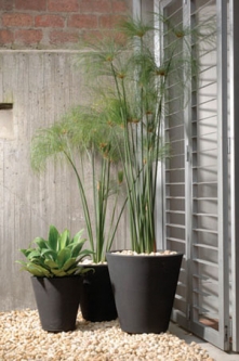 Modern Planters: Madison Planter 20 inch Height x 20 inch Width